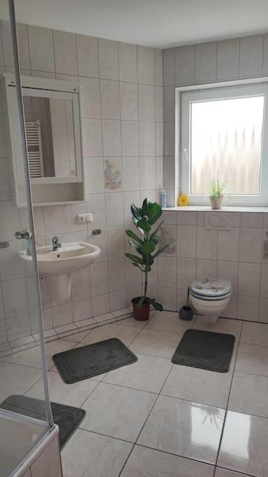 Hehlentor-City Gaeste Wohnung Celle Exteriör bild